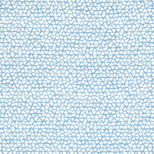 Load image into Gallery viewer, Set of Two Made to Order Thibaut Maluku Side Drapery Panels