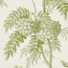 Load image into Gallery viewer, Brantwood Vine
