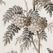 Load image into Gallery viewer, Brantwood Vine