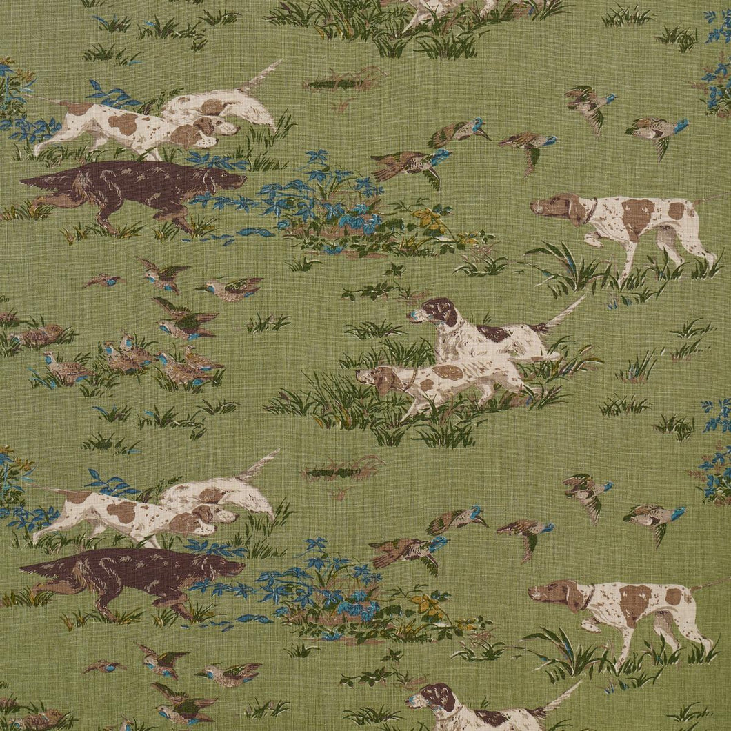 Schumacher Pointers Fabric 175164 / Meadow