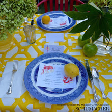 Load image into Gallery viewer, Zanzibar Trellis Chintz