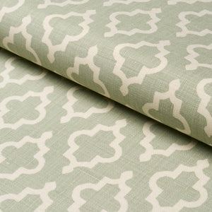 Schumacher Jake Fabric 178435 / Celadon