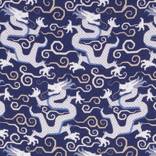 Load image into Gallery viewer, Bixi Dragon
