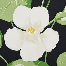 Load image into Gallery viewer, Nasturtium
