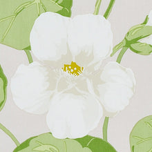 Load image into Gallery viewer, Nasturtium