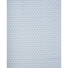 Load image into Gallery viewer, Dexter Indoor/Outdoor - Blues