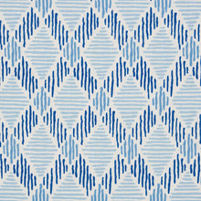 Load image into Gallery viewer, Dexter Indoor/Outdoor - Blues
