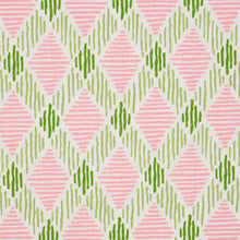 Load image into Gallery viewer, Dexter Indoor/Outdoor - Pink &amp; Green