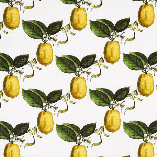 Schumacher Le Citron Fabric 180630 / Ivory