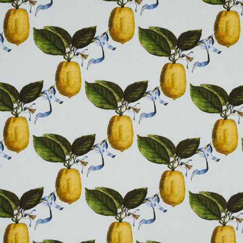 Schumacher Le Citron Fabric 180631 / Sky
