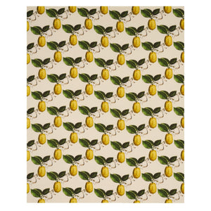 Schumacher Le Citron Fabric 180632 / Natural