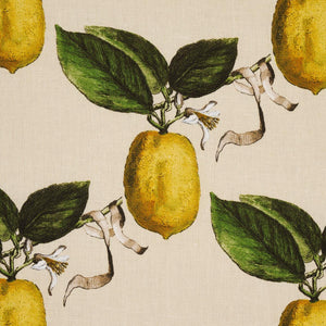 Schumacher Le Citron Fabric 180632 / Natural