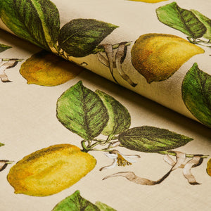 Schumacher Le Citron Fabric 180632 / Natural