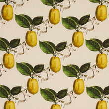 Load image into Gallery viewer, Schumacher Le Citron Fabric 180632 / Natural