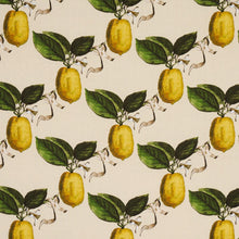 Load image into Gallery viewer, Schumacher Le Citron Fabric 180632 / Natural