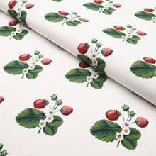 Load image into Gallery viewer, Strawberry Hill