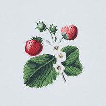 Load image into Gallery viewer, Strawberry Hill