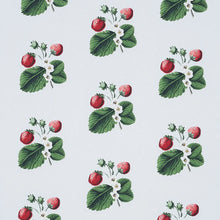 Load image into Gallery viewer, Strawberry Hill