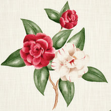 Load image into Gallery viewer, Casablanca Floral Indoor/Outdoor - Garnet