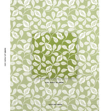 Load image into Gallery viewer, Lanzadera Vine Indoor/Outdoor - Honeydew