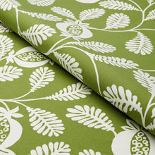 Load image into Gallery viewer, Lanzadera Vine Indoor/Outdoor - Honeydew