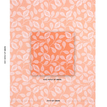 Load image into Gallery viewer, Lanzadera Vine Indoor/Outdoor - Melon