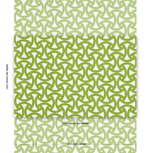Schumacher Santorini Print Indoor/Outdoor Fabric 181081 / Fern