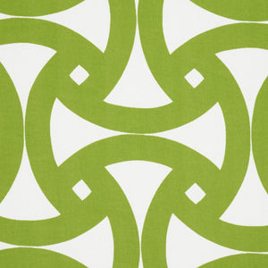 Schumacher Santorini Print Indoor/Outdoor Fabric 181081 / Fern