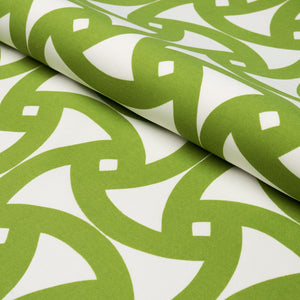 Schumacher Santorini Print Indoor/Outdoor Fabric 181081 / Fern