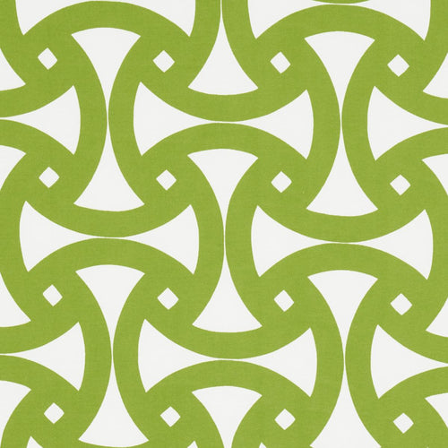 Schumacher Santorini Print Indoor/Outdoor Fabric 181081 / Fern