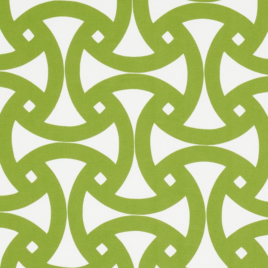 Schumacher Santorini Print Indoor/Outdoor Fabric 181081 / Fern