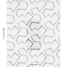 Load image into Gallery viewer, Schumacher Enzo Print Fabric 181632 / Graphite
