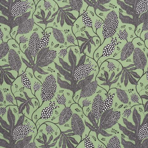 Schumacher Polka Dot Jungle Fabric 181651  / Black & Green