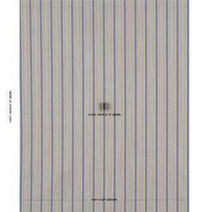 Schumacher Auguste Stripe Fabric 181710 / Marine & Cognac