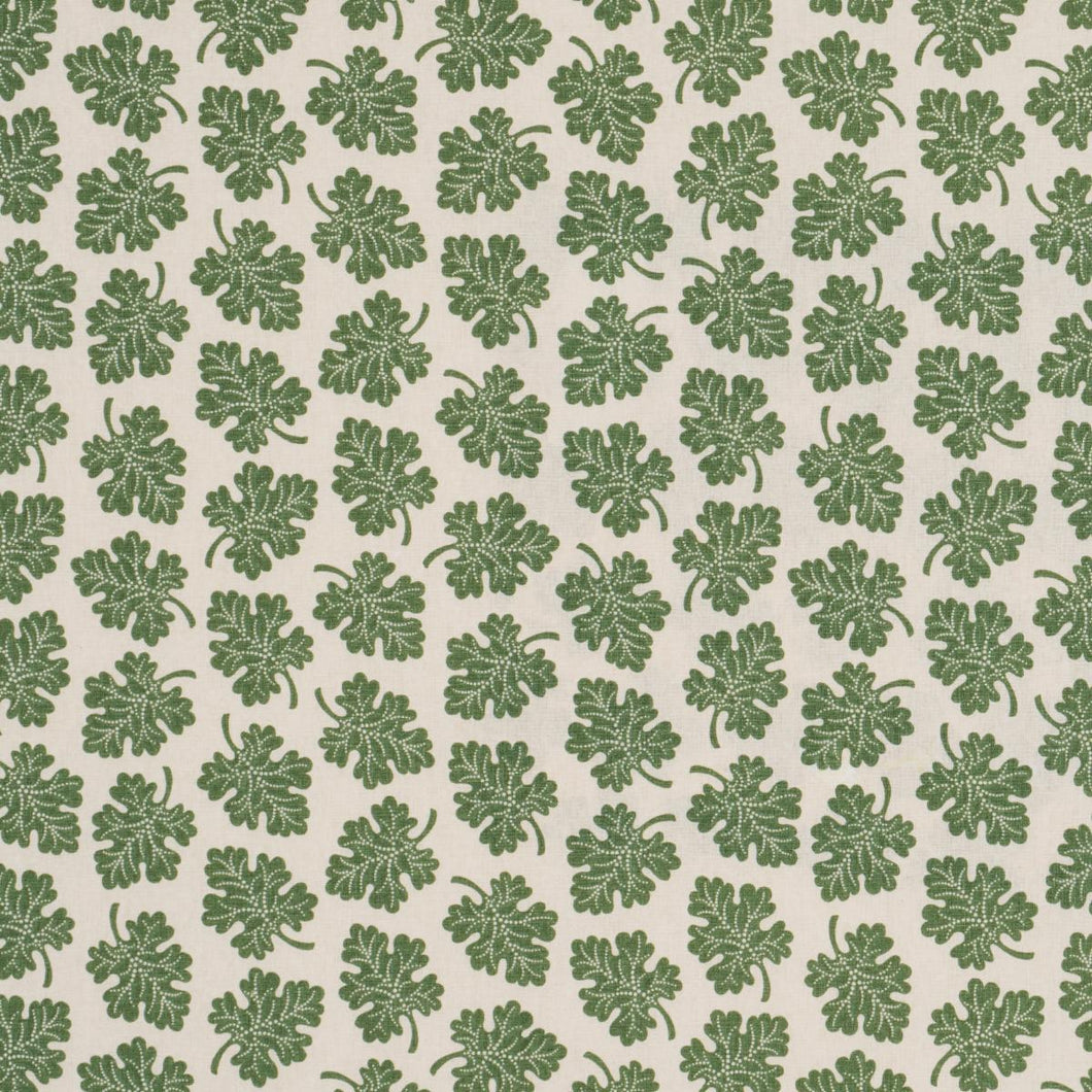 Schumacher Olive  Fabric 182030 / Green