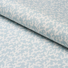 Load image into Gallery viewer, Schumacher Folly Fabric 182090 / Sky