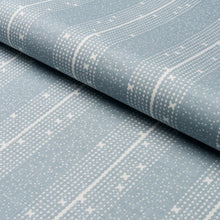 Load image into Gallery viewer, Schumacher Stella Stripe Fabric 182112 / Blue