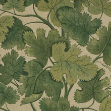 Load image into Gallery viewer, Edinburgh Vine