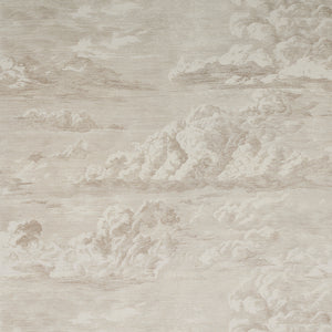 Pair of Custom Made Schumacher Cloud Toile Silk Pillow Covers - Both Sides
