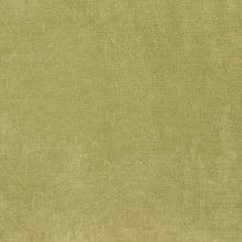 Load image into Gallery viewer, Heavy Duty Fade Resistant Avocado Green Velvet Upholstery Fabric