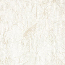 Load image into Gallery viewer, Schumacher The Cloisters Panel Set Wallpaper 5014900 / Warm White