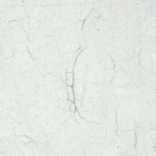 Load image into Gallery viewer, Schumacher The Cloisters Panel Set Wallpaper 5014901 / Soft Green