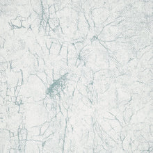 Load image into Gallery viewer, Schumacher The Cloisters Panel Set Wallpaper 5014900 / Soft Blue