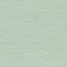 Load image into Gallery viewer, Schumacher Haruki Sisal Wallpaper 5004717 / Seaglass