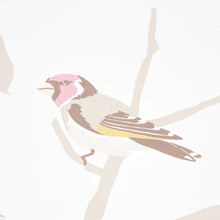 Load image into Gallery viewer, Schumacher A-Twitter Wallpaper 5005033 / Soft Multi