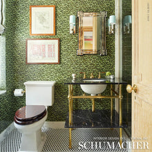 Load image into Gallery viewer, Schumacher Tortoise Wallpaper 5007451 / Amazon