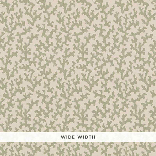 Schumacher Folly Wallpaper 5008003 / Sage