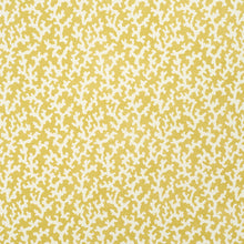 Load image into Gallery viewer, Schumacher Folly Wallpaper 5008007 / Mimosa