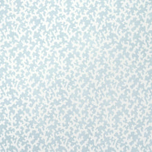 Load image into Gallery viewer, Schumacher Folly Wallpaper 5008009 / Sky