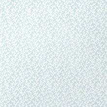 Load image into Gallery viewer, Schumacher Folly Wallpaper 5008009 / Sky